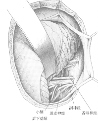 1494301254312877.png QQ图片20170509114053.png
