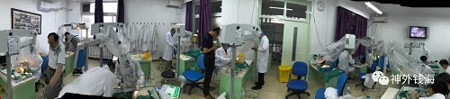 1531124889744652.jpg 10.jpg