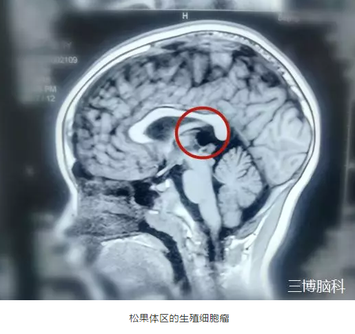 微信截图_20190510190146.png