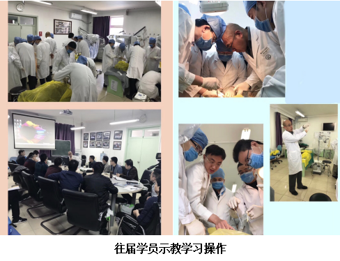 往届学生学习操作
